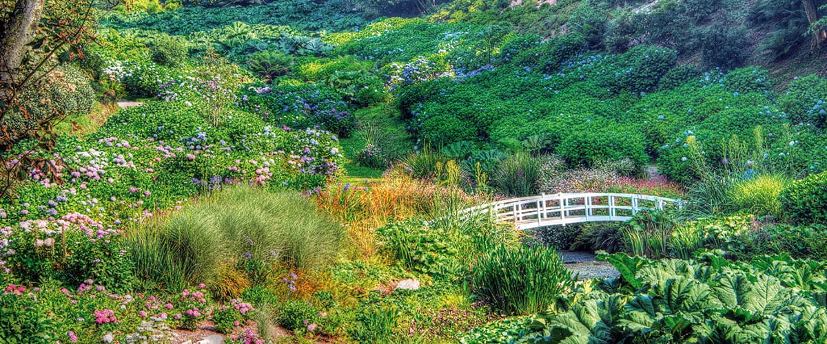 A bridge over a stram in Trebah Gardens in Cornwall, England